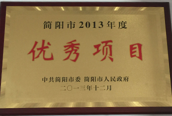 2013年優(yōu)秀項目