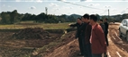 劉總陪同農(nóng)委領(lǐng)導(dǎo)視察高標(biāo)準(zhǔn)農(nóng)田2